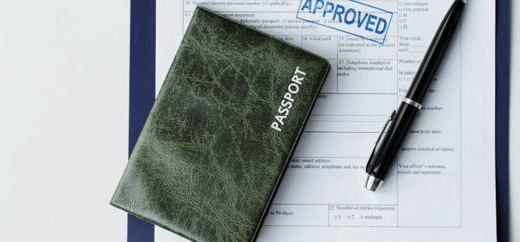 Visa Status Received but Health Not Started? (2026 ImmiAccount Guide)