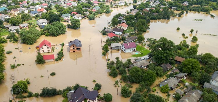SES 132 500 vs. 000: Who to Call for Flood and Storm Damage (2026)