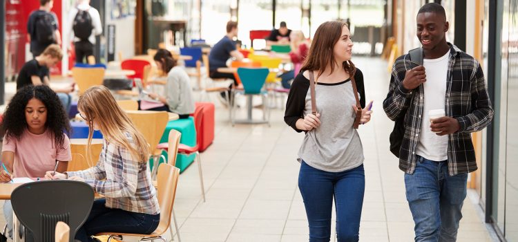 Redfern vs. Chippendale: Which is Safer for Students in 2026?