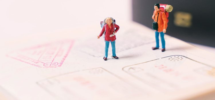 Will I Get a Visa in 2026? Understanding the NPL Priority System