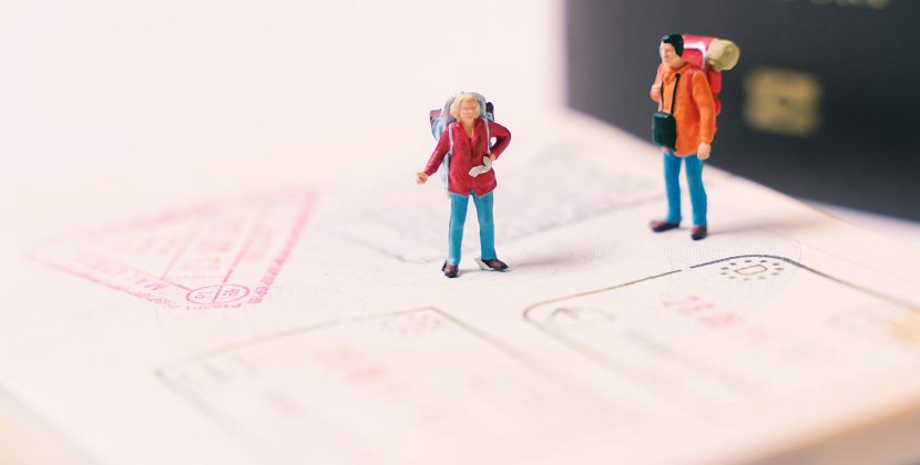 Will I Get a Visa in 2026? Understanding the NPL Priority System