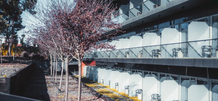 UNSW Off-Campus Accommodation 2026: Suburb Guide & Rent Prices