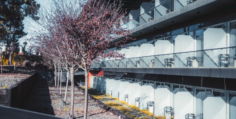 UNSW Off-Campus Accommodation 2026: Suburb Guide & Rent Prices