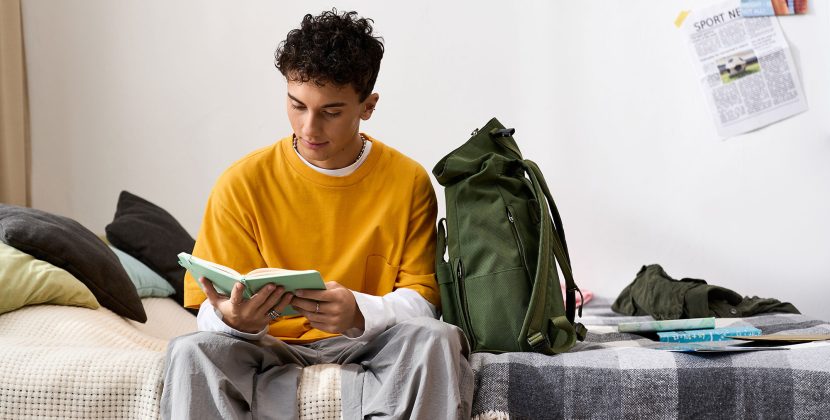 University vs. Private PBSA: 2026