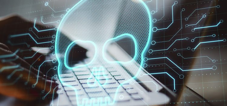 Safety in Australia 2026: Why Digital Scams are a Bigger Threat than Wildlife