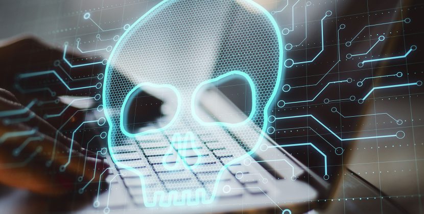 Safety in Australia 2026: Why Digital Scams are a Bigger Threat than Wildlife
