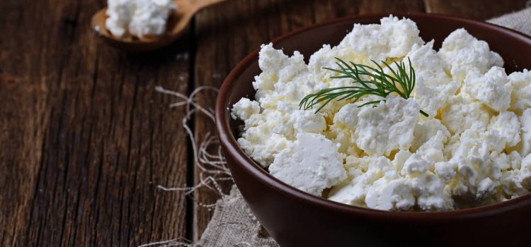 Why Cottage Cheese is the MVP (Most Valuable Protein) for Aussie Student Budgets