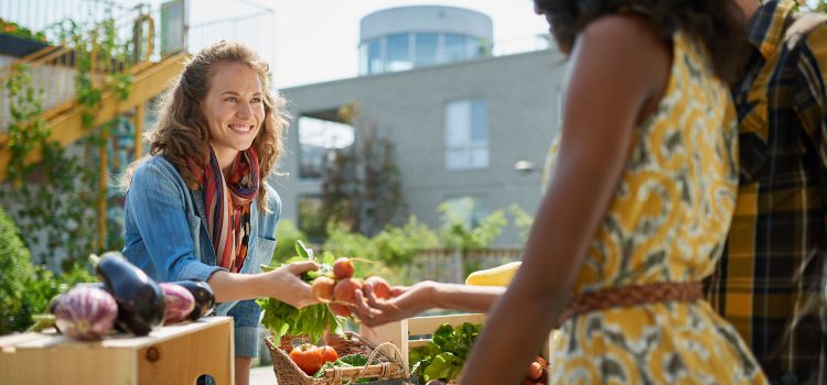 How to Access the Arc Food Hub Anonymously in 2026