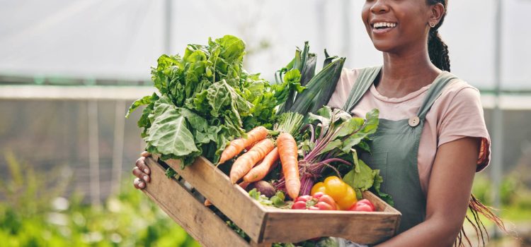 Farmers Pick Review 2026: Is a $50 Veggie Box Actually Worth It?