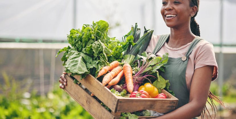 Farmers Pick Review 2026: Is a $50 Veggie Box Actually Worth It?