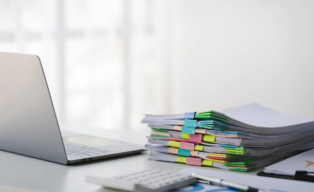 How to Export Your Work Logs for a 485 Visa Audit (2026)