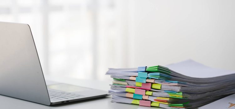 How to Export Your Work Logs for a 485 Visa Audit (2026)