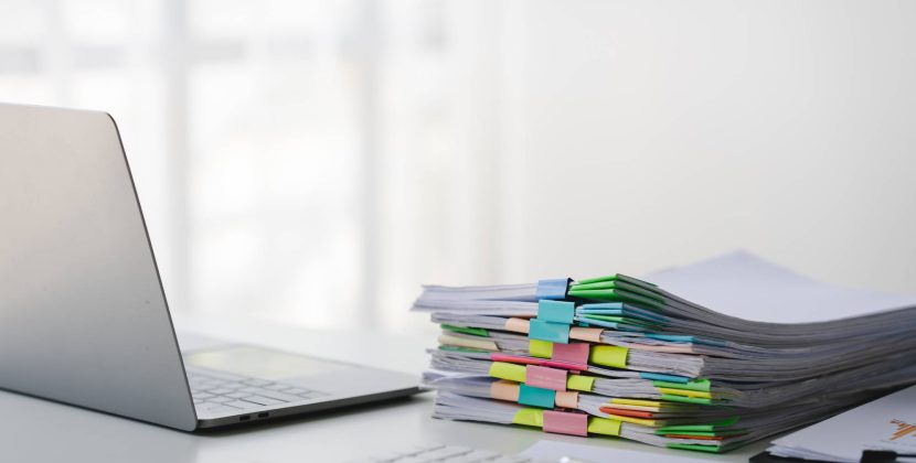 How to Export Your Work Logs for a 485 Visa Audit (2026)