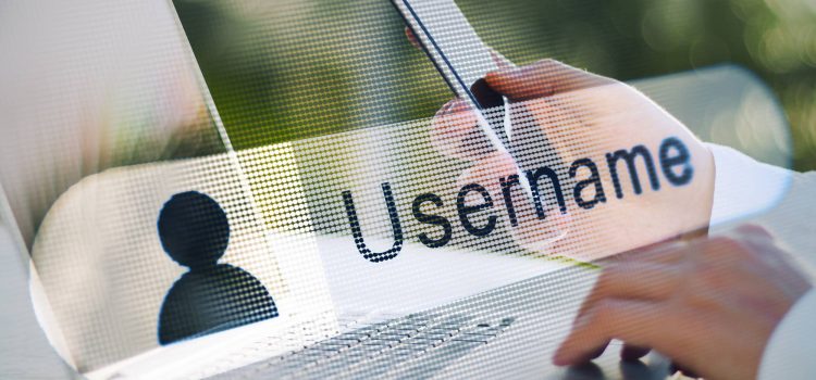 How to Link Your Old HAP ID to a New 485 Application (2026)