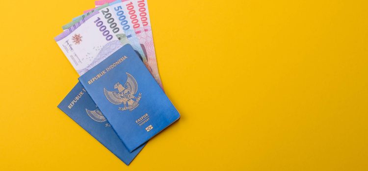 How Long to Get a HAP ID After Paying for a Visa? (2026 Guide)