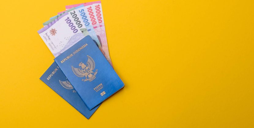 How Long to Get a HAP ID After Paying for a Visa? (2026 Guide)