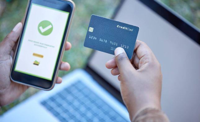 Flywire vs. ImmiAccount: Which is Safer for Large Visa Payments?