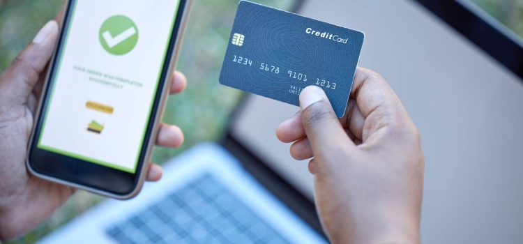 Flywire vs. ImmiAccount: Which is Safer for Large Visa Payments?