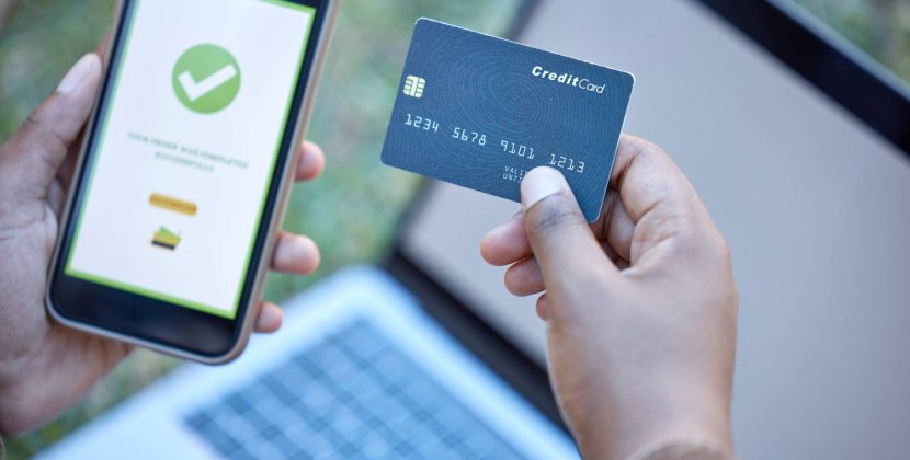 Flywire vs. ImmiAccount: Which is Safer for Large Visa Payments?