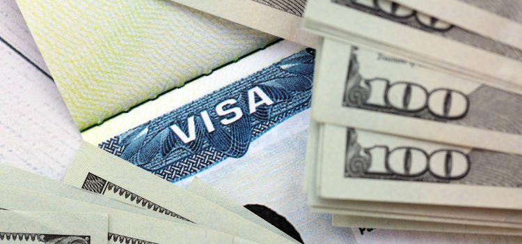 Can I Use ABN Income for 482 Visa Sponsorship?