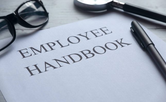 Guide to Employee-Like Regulated Worker Rights & Fair Work Laws