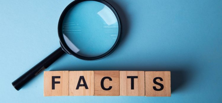 Is the AI-ECTA 4-Year PhD Stay Automatic? Fact-Checking Your Subclass 485 Stay Rights