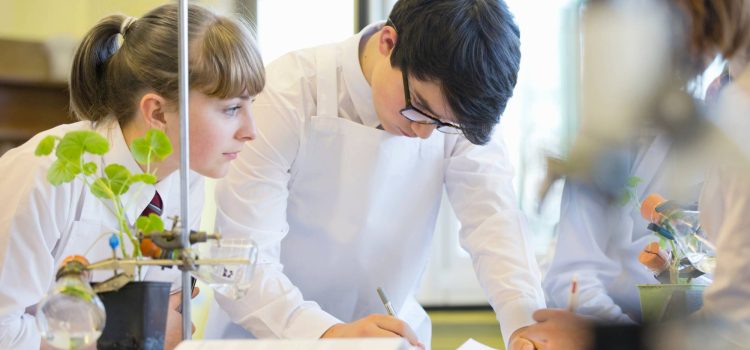 How to Prove ‘First Class Honours’ for the 3-Year STEM Extension