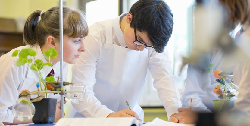 How to Prove ‘First Class Honours’ for the 3-Year STEM Extension