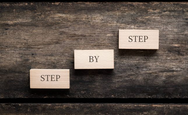 Step-by-Step ImmiAccount Guide for Indian AI-ECTA Applicants