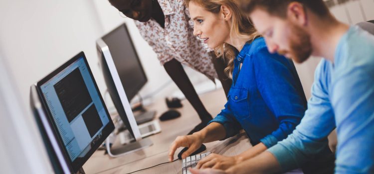 Skills Assessment Blueprint: Meeting the Australian Computer Society (ACS) Standards