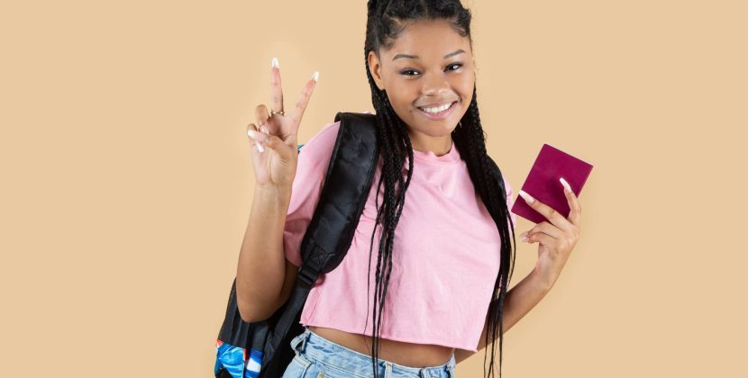 How to Use VEVO to Check Study Restrictions on Your Bridging Visa