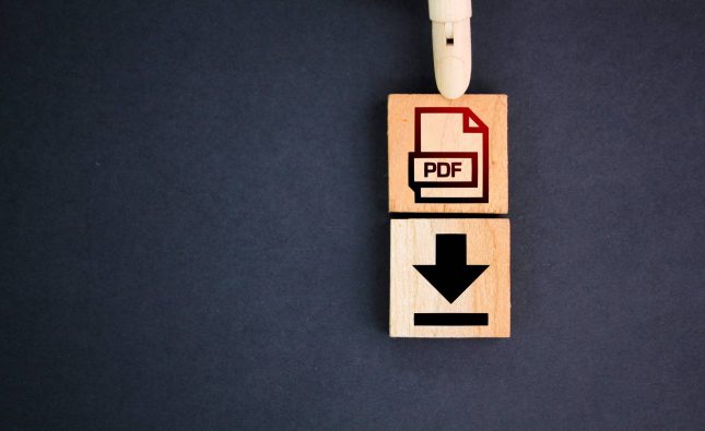 PDF Downloads vs. Live Links: Choosing the Right Submission Method for Your 485 Visa