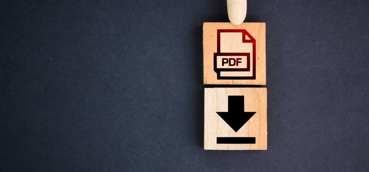 PDF Downloads vs. Live Links: Choosing the Right Submission Method for Your 485 Visa