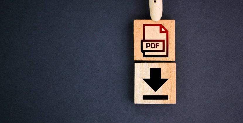 PDF Downloads vs. Live Links: Choosing the Right Submission Method for Your 485 Visa