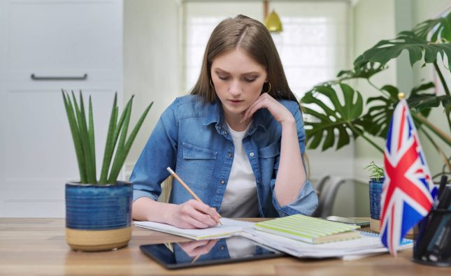 Blocked from Student Visa Onshore? Your Legal Options 2026
